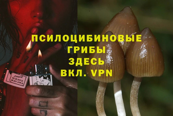 a pvp Баксан