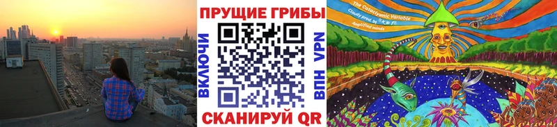 Псилоцибиновые грибы мицелий Реутов